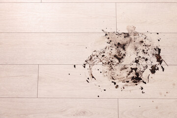 Sticker - Mud stain on wooden floor indoors, top view. Space for text