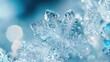 © MrHamster - Intricate Crystallized Snowflake with Delicate Structure and Blurry Background