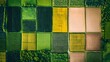 © Mr image - 14. **An aerial view of a patchwork of different crops on farmland.