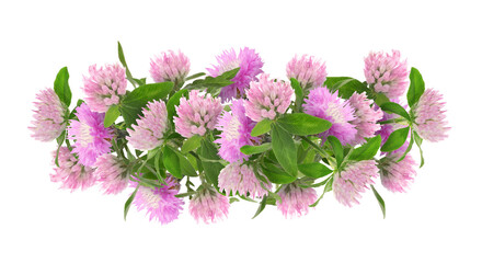 Wall Mural - Beautiful wreath of pink flowers on white background