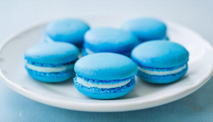 Wall Mural - Blue macaroons in ceramic white plate. Tasty dessert. Sweet food. Traditional French bakery snack.