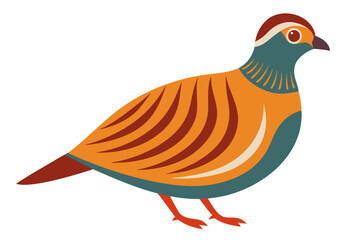 Wall Mural - Cute bird partridge vector art illustration