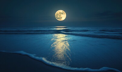 Wall Mural - Bright full moon reflected in a calm sea