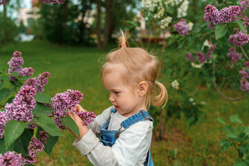 A charming child girl toddler touches lilacs in a green summer park.