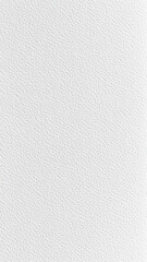 Wall Mural - Textured White and Gray Minimalist Background