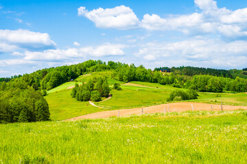 Green fields and meadows with spring flowers hills in background, Suwalski Landscape Park, Podlasie, Poland