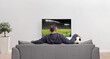© Ljupco Smokovski - Male football fun sitting on a sofa in front of tv