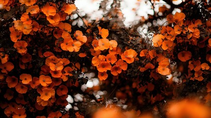 Poster -   A tree laden with numerous orange blossoms adjoins a dense forest brimming with orange blooms