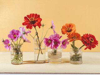 Wall Mural - garden flowers in glass vases. blooming beautiful flowers cosmos, zinnia.