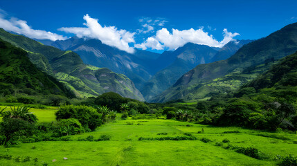 Canvas Print - View Valley With Mountains The Background