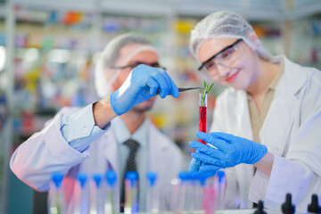 scientists perform experiments and record data. people arranges equipment with test tubes and chemicals for producing medicine and biochemistry. man hold tubes of chemical liquids and plant samples.