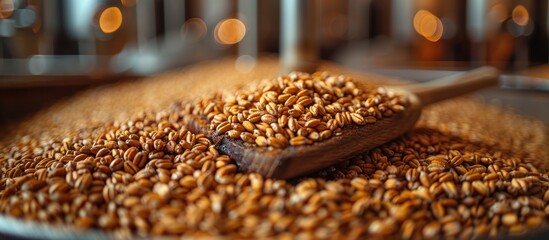 Poster - Close-up of Wheat Grains and a Wooden Scoop