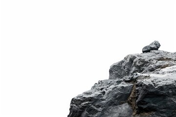 Canvas Print - A single bird sits at the summit of a massive rock, enjoying the view