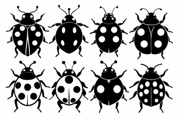 Wall Mural - ladybug silhouette vector set, Black silhouette ladybug vector illustration
