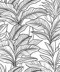 Canvas Print - A black and white illustration of tropical leaves with intricate line details.