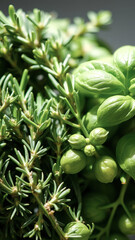 Sticker - Close-up of Green Herbs and Buds