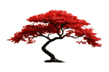 a stunning red maple tree with a unique shape, showcasing vibrant autumn colors in a serene and peac