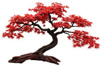 A stunning red bonsai tree displaying intricate branches and vibrant foliage, perfect for nature lovers and home decor.