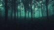 © Tonadech - A dark mysterious forest with exaggerated shadows and fog