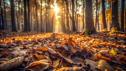 Dry, parched forest floor with withered, crunchy leaves and a few scattered twigs, warm, soft lighting with a shallow depth of field.