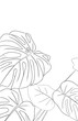© Artty - Monstera leaves(line drawing)