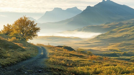 Wall Mural - Beautiful view of the autumn in mountains covered with forest, the morning fog spreads across the ground