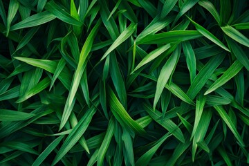 Green leaves background.