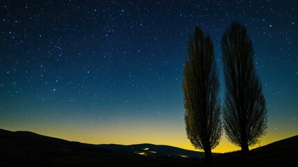 Night Sky with Two Trees