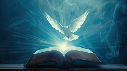 Poster - White dove above glowing holy book