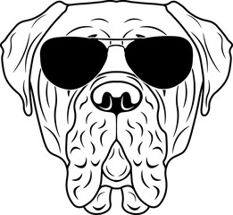 Wall Mural - Mastiff In Sunglasses