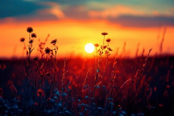 Sticker - Silhouetted Wildflowers Against a Vibrant Sunset