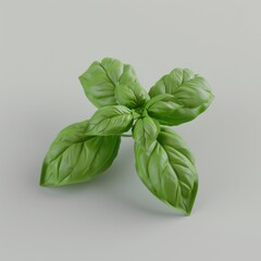 Sticker - Fresh green basil leaves isolated on a white background.