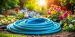 © AK2478 - Cerulean Frost garden hose curled up beside a blooming flowerbed, shot from a low angle, soft diffused light, happiness, a realistic photo image.