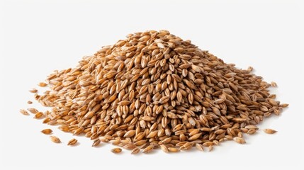 Heap of Spelt wheat isolate on transparency background PNG