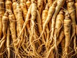 © Wanlop - A collection of American ginseng roots, carefully harvested and preserved, reveals the rich coffee-like color and intricate patterns of this highly prized herb.