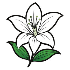 Wall Mural - Lily Flower Vector illustration on isolated on white background