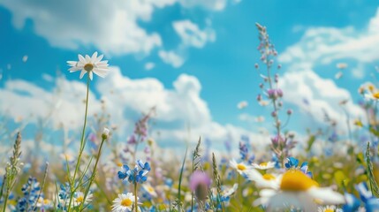 Sticker - A Field of Wildflowers Under a Summer Sky