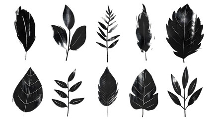 Wall Mural - Hand drawn set of grunge modern textured brush black leaves isolated on transparent background
