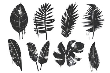 Wall Mural - Hand drawn set of grunge modern textured brush black leaves  isolated on transparent background