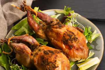 Baked tasty quails on ceramics plate with salad