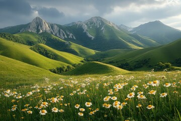 Poster - Mountainous Landscape with Field of Daisies and Cloudy Sky