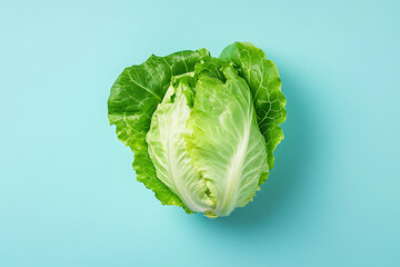 Wall Mural - A fresh green cabbage on a light blue background, emphasizing its vibrant color and texture.