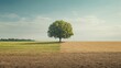 © creativeideh - Solitary Tree in a Field