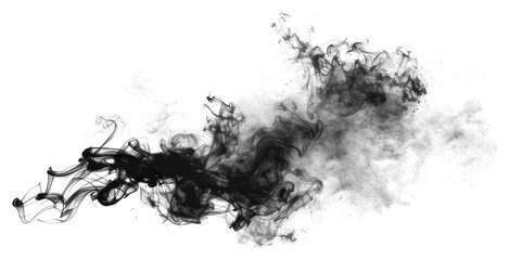 Wall Mural - PNG Abstract black ink smoke art