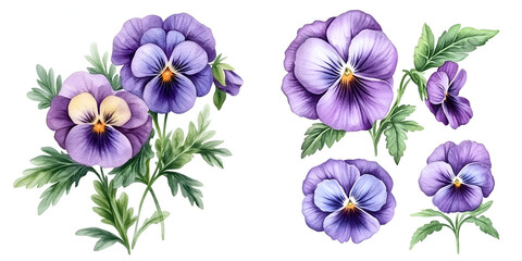 Wall Mural - Watercolor Purple Pansies - Perfect for Springtime Designs