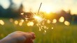 © Ruby Siam - A hand holds a sparkler, creating a dazzling display of light against a sunlit backdrop of vibrant green grass.