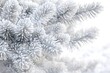 © PinkiePie - Snowy Christmas background with a close - up of frosted pine branches
