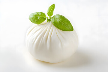 Wall Mural - Single fresh piece burrata cheese with basil close up isolated on white background