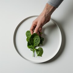 Poster - Hand placing fresh spinach leaves on a white plate.