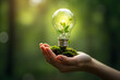 © Amir Bajric - Renewable energy light bulb with green energy, Earth Day or environment protection Hands protect forests that grow on the ground and help save the world